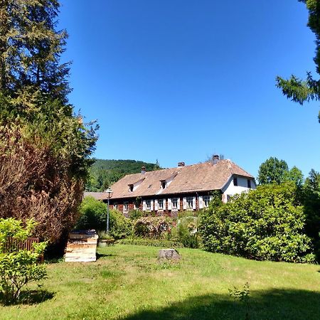 Hotel La Rubanerie Schirmeck Buitenkant foto