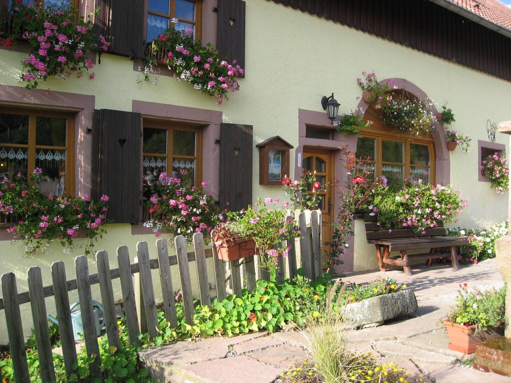 Hotel La Rubanerie Schirmeck Buitenkant foto